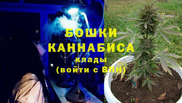 индика Алексеевка