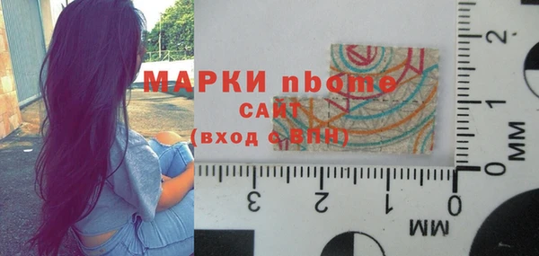 прущий лед Алзамай