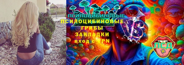 индика Алексеевка