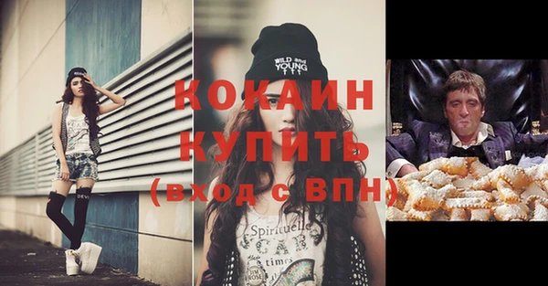 индика Алексеевка
