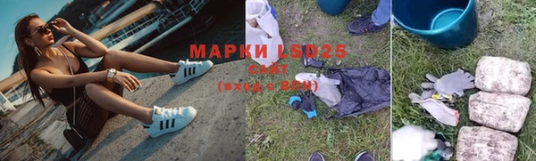 прущий лед Алзамай