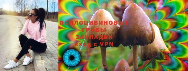 мяу мяу кристалл Алексин