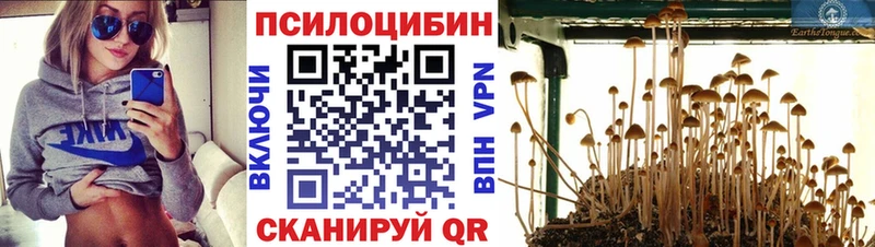 Псилоцибиновые грибы Cubensis  Кремёнки 